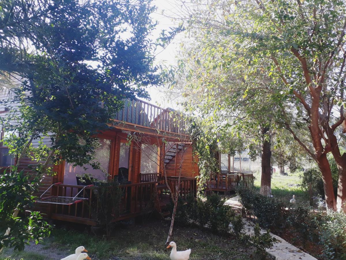 Otantik Tas Ev Bed & Breakfast Даламан Екстериор снимка